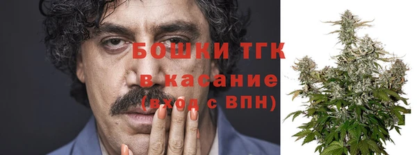 сатива Бугульма
