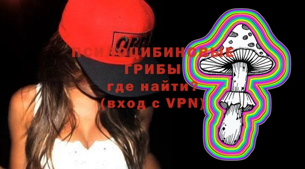 гашик Верхний Тагил
