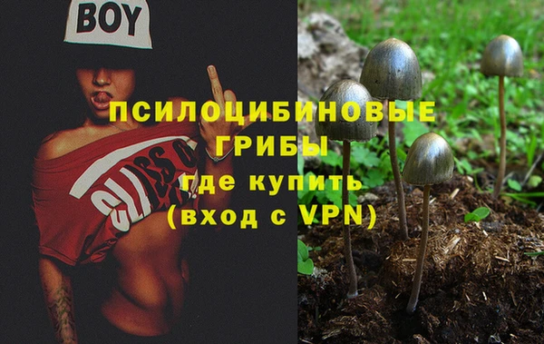 эйфоретик Валдай
